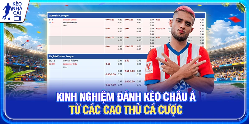 Kinh Nghiệm Đánh Kèo Châu Á Từ Các Cao Thủ Cá Cược Bóng Đá