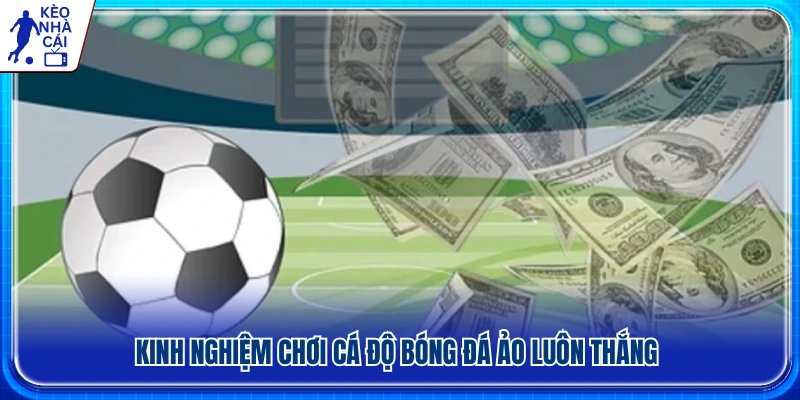 Kinh nghiệm cá độ bóng đá ảo và quản lý rủi ro hiệu quả 