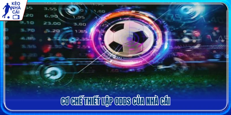 Nhà cái thiết lập odds dựa trên những yếu tố nào? 