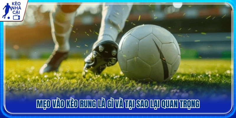 Vai trò của việc phân tích trận đấu khi tham gia kèo rung 