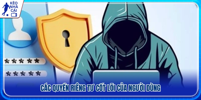 Những quyền riêng tư cơ bản mà người dùng được bảo đảm 
