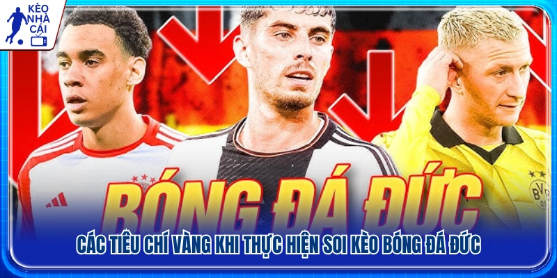 Yếu tố quan trọng cần xem xét khi soi kèo bóng đá đức